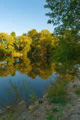 Fall Portrait of Lake and Trees