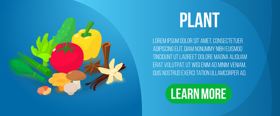 Plant concept banner. Isometric banner of plant vector concept for web, giftcard and postcard