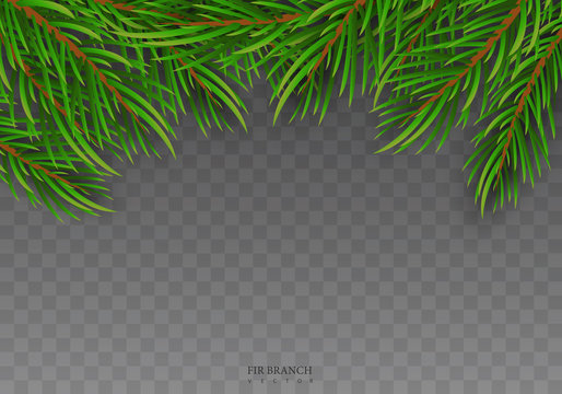 Set of Realistic Detail Christmas tree branches. Christmas and New Year isolated on прозрачном background for your design. Vector illustration EPS10