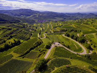 Weinberge von oben Drohne