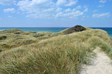 K&uuml;stenlandschaft im nationalpark thy, nord j&uuml;tland