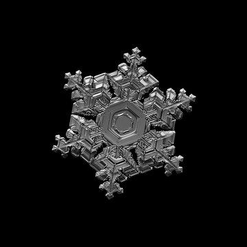 Snowflake isolated on black background. Macro photo of real snow crystal: elegant star plate with fine hexagonal symmetry, six short, broad arms and glossy relief surface with complex inner pattern.
