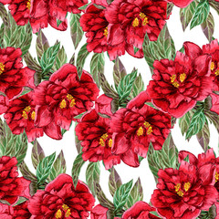 Pattern of Red peonies. Passionate flowers on a white background
