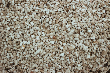 Gravel background. Photo of stones, close-up