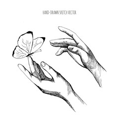 Drawing Hands releasing butterfly. Let go, brush the hand of man, Fly, Freedom. Hand drawn sketch vector