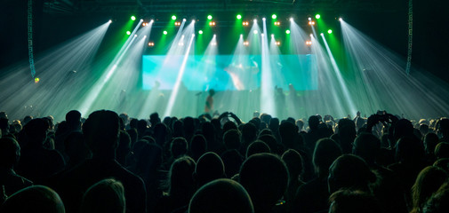 crowd at concert