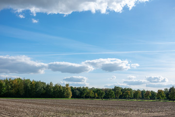 Obraz premium schöner blauer Wolkenhimmel über Feldern und Wiesen. Standort: Deutschland, Nordrhein - Westfalen, Borken
