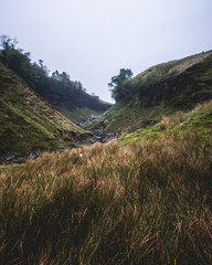 valley in the mountains