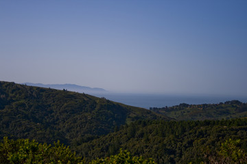Muir Woods National Park, views of the hills and the Pacific Ocean