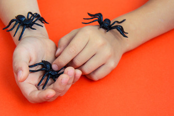 Hands of a child playing with black rubber spiders toys on orange paper background. Halloween october concept.