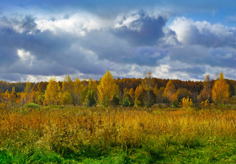 Fototapeta premium Autumnal nature, scenery