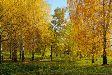 Autumnal nature, scenery