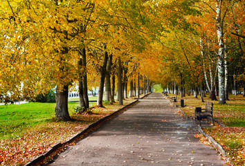 Autumnal nature, scenery