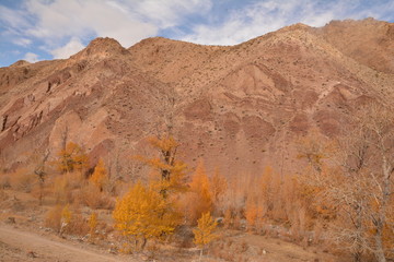 mountains landscape nature landscape view sky air oxygen autumn season grass trees blue yellow sand stone gray brown ridge water river rocks rock blue Altai,Russia open space