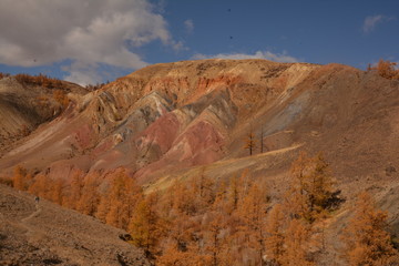 mountains landscape nature landscape view sky air oxygen autumn season grass trees blue yellow sand stone gray brown ridge water river rocks rock blue Altai,Russia open space
