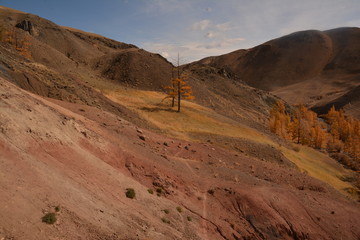 mountains landscape nature landscape view sky air oxygen autumn season grass trees blue yellow sand stone gray brown ridge water river rocks rock blue Altai,Russia open space