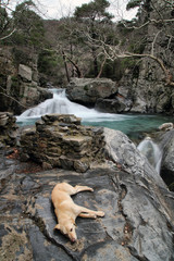 The Hasanboguldu river and waterfalls in Edremit district of Balikesir province of Turkey