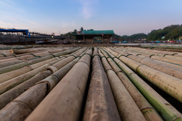 Close up bamboo floating