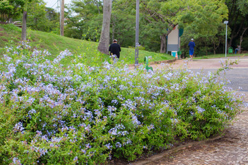 natureza do parque