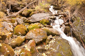 mountains landscape nature waterfall view sky air oxygen autumn season grass trees blue yellow sand stone gray brown water river rocks rock blue Altai Russia red orange