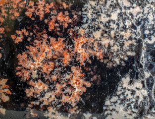 Stone texture background. Polished black color jasper stone macro photo.
