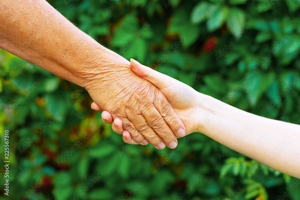 Wall mural old and young hold each other's hand, against the blurred background of nature