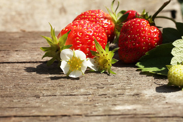 Red ripe strawberry close-up