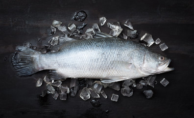 Fresh snapper fish on ice,Ready for cooking,top view