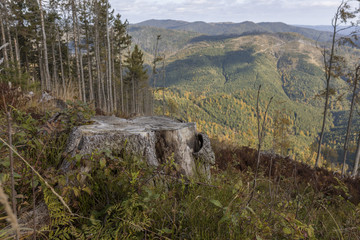 Carpathian mountains, problems ecology, illegal deforestation, Ukraine, Europe. large deforestation...