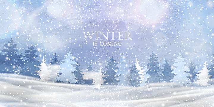 Winter is coming. Beautiful christmas, snowy woodland landscape with snow covered firs, coniferous forest, falling snow, snowflakes for winter and new year holidays. Christmas Winter background.
