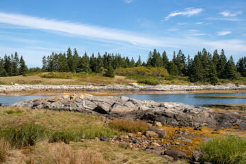 scenic view of Vinalhaven coastline with blue sky and rocks