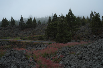 Vulkan Teide Teneriffa