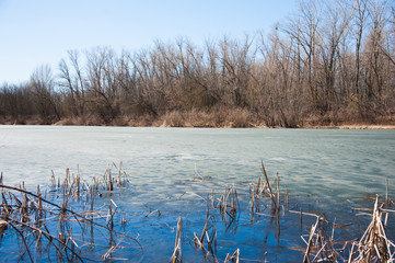 River quietly flowing flows through the forest in early spring