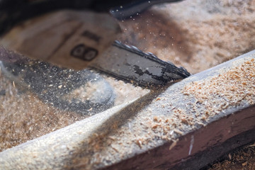 the worker saws off a log with a chainsaw