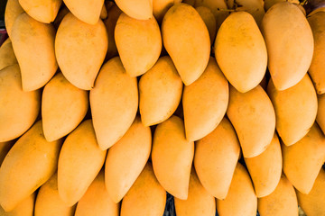 Pile of tasty mango. Healthy food wallpaper concept. Shallow focus.