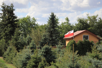 Polska flaga z orłem na altance w ogrodzie.