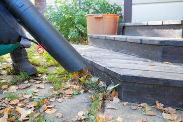 a woman cleans the leaves with a vacuum cleaner