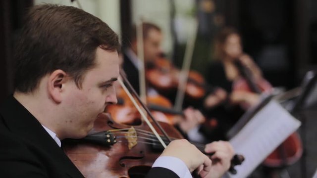Musicians playing violin outdoors. 
Violint play music for the wedding. Violin under the open sky. Wedding music concept.