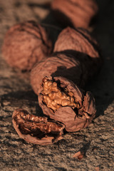 Walnut. Walnut kernels and whole walnuts on rustic old oak table.