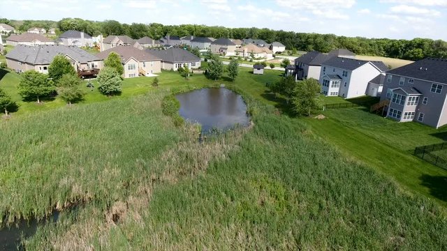 Pond Behind Homes
