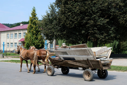 Ukraina - wóz konny na ulicy w mieście