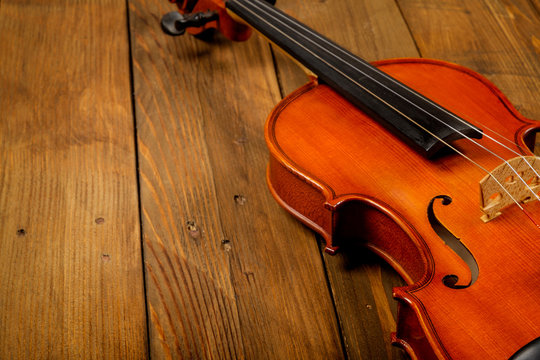 violin in wood background