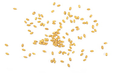Wheat grains isolated on white background, top view