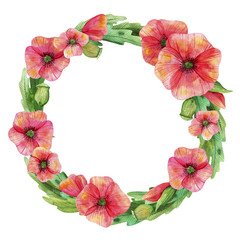 Seamless pattern wreath. Wild flover watercolor backraund 