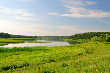 Landscape with a pine forest and lakes