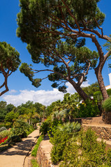 Beautiful alley full of trees and flowers
