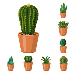 Isolated object of cactus and pot icon. Set of cactus and cacti stock vector illustration.