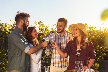 Happy friends having fun drinking wine at winery vineyard - Friendship concept with young people...