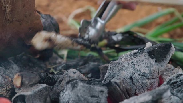 Turning Calcots green onions on a smoky wood fire, CLOSE UP