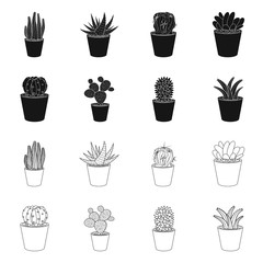 Vector design of cactus and pot symbol. Set of cactus and cacti stock vector illustration.